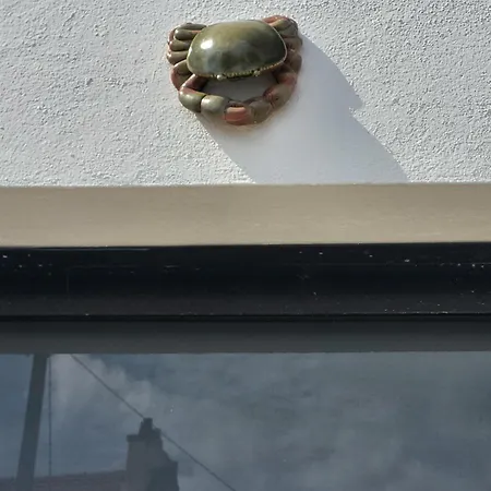 Plein Pied De La Petite